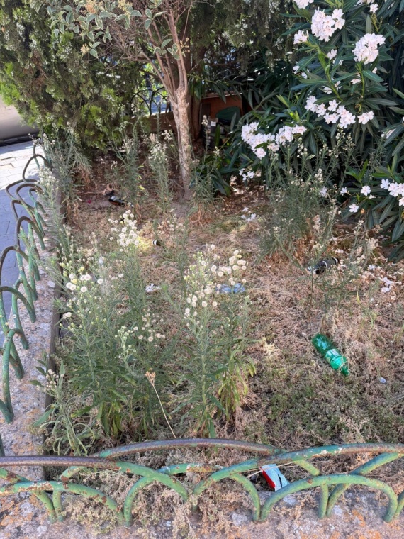 Riqualificazione area verde con il progetto Kairòs al MCL “Don Luigi Sturzo” di Caltagirone