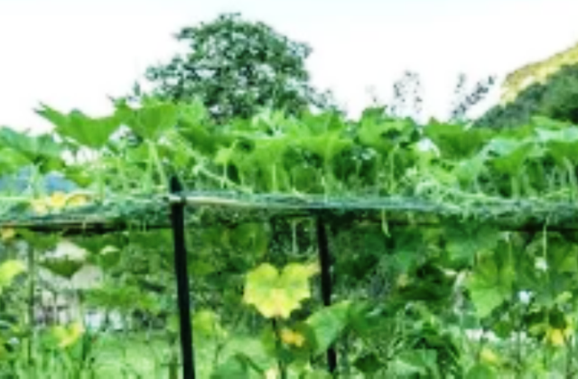 Dal mare ai monti, l’innovativo modello di agricoltura sociale che fa rivivere le valli